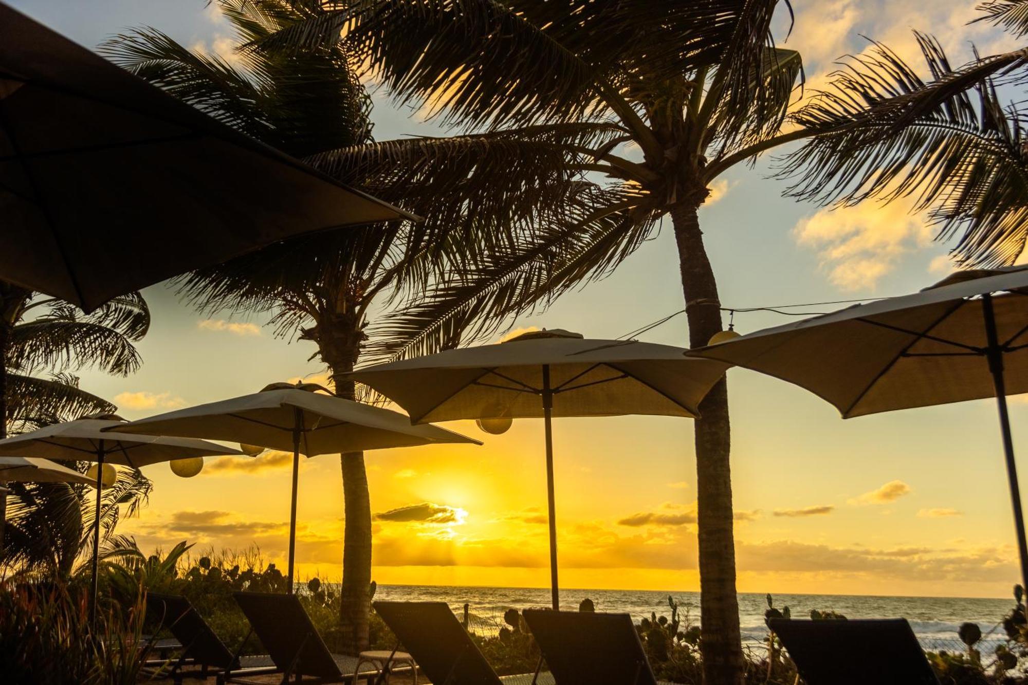 The Westin Porto De Galinhas All-Inclusive 外观 照片